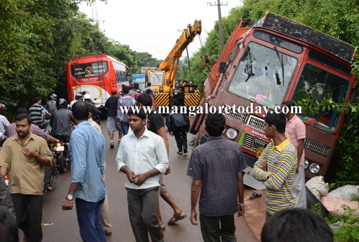 transporting cattle 1